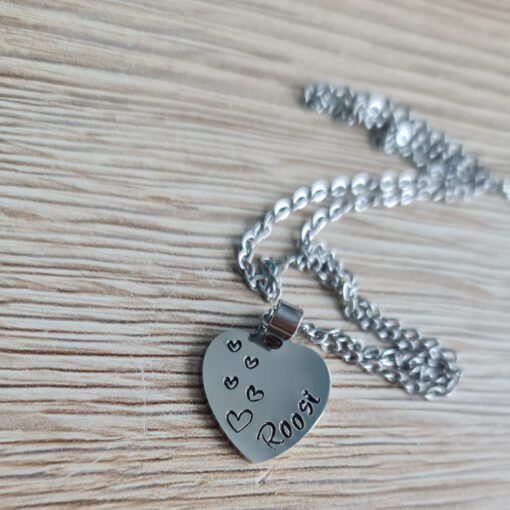 Alternative view of Südamega kaelaehe